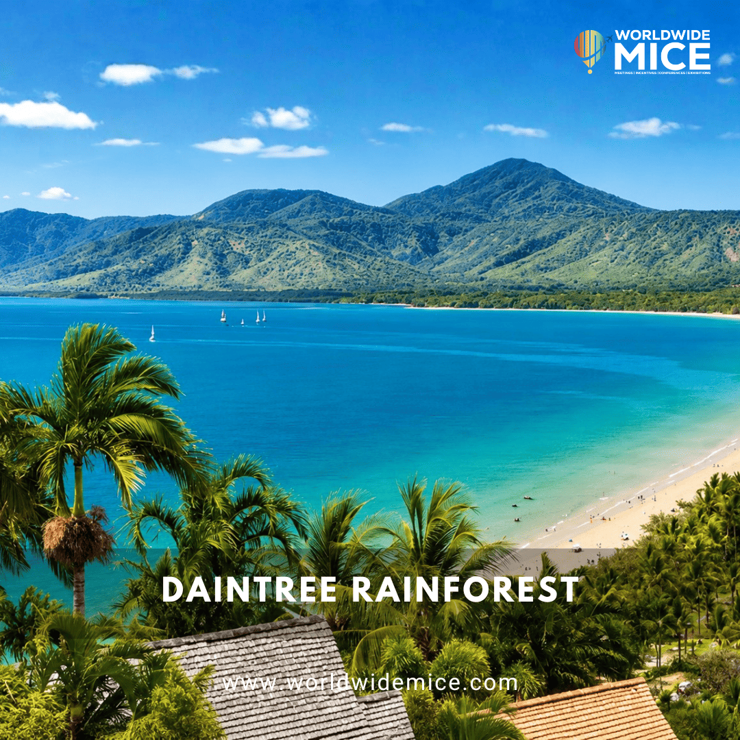 Daintree Rainforest